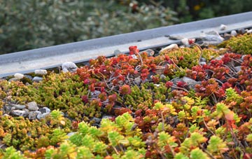 the cost of Gazeley green roof installation