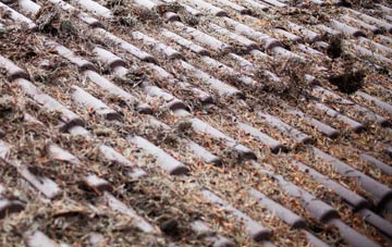 Gazeley roof cleaning companies